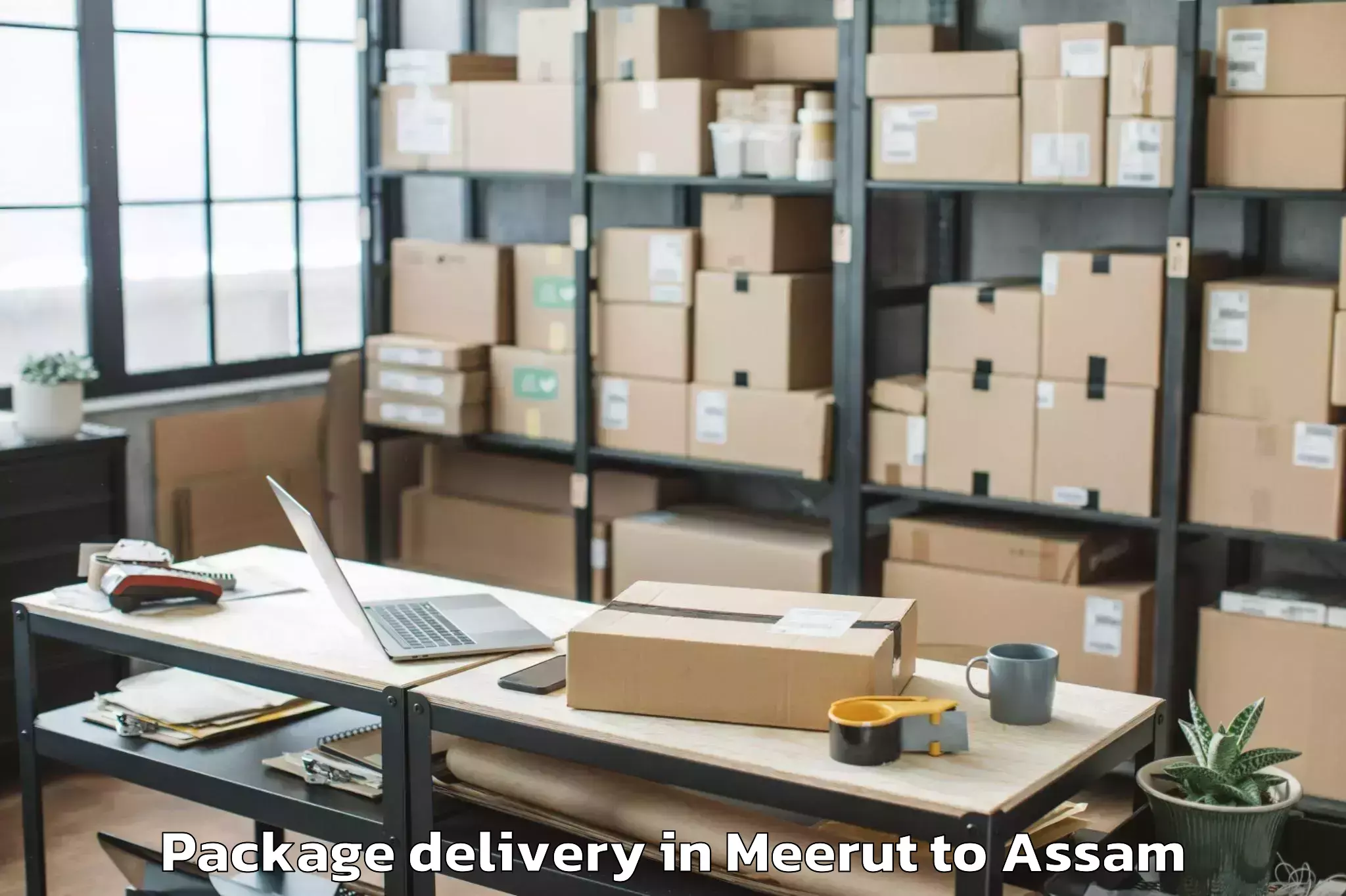 Affordable Meerut to Barpeta Package Delivery